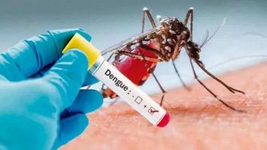 dengue-cases-recorded-in-delhi