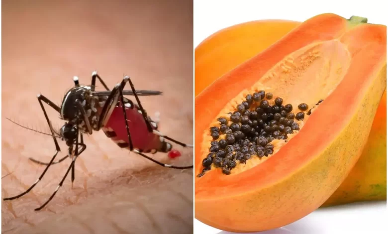 Follow these home remedies to avoid dengue