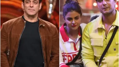 Salman Khan told Ankit and Priyanka a burden for each other in Friday's war